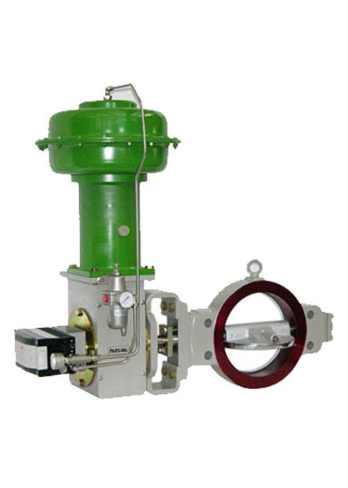Butterfly & Ball Control Valves