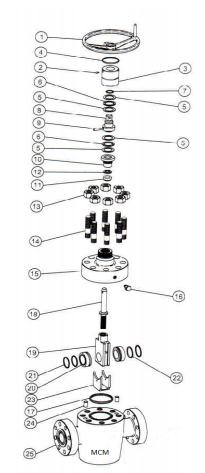 FLS Style Manual Gate Valve