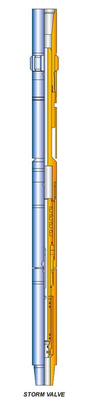 Storm Valves & Seal Assemblies